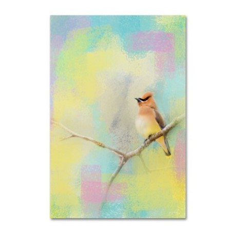 Jai Johnson 'Song Of The Waxwing' Canvas Art,12x19